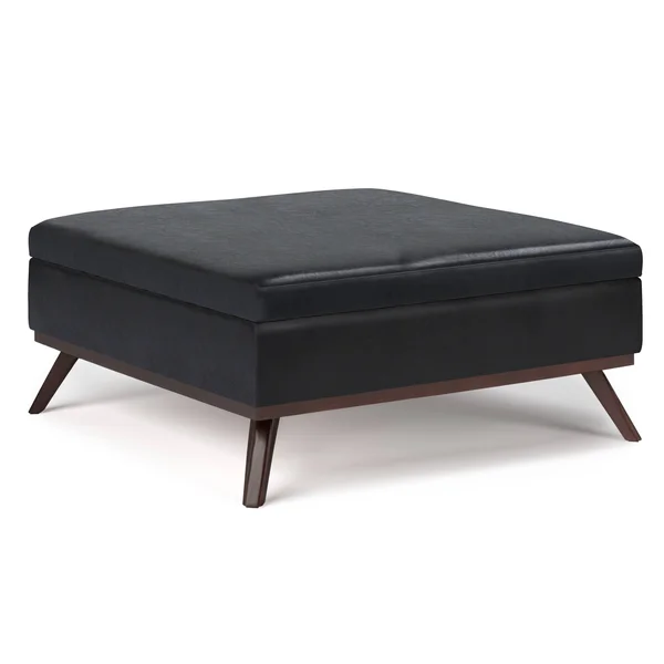 36x22 Ethan Coffee Table Storage Ottoman Midnight Black - Wyndenhall