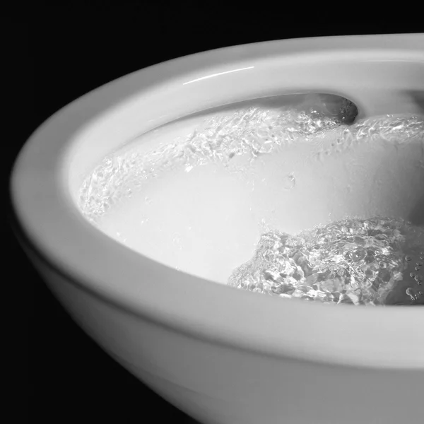 Toto MS634114CEFG#03 Supreme II One-Piece Elongated 1.28 GPF Toilet, Bone