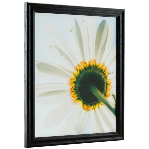 Craig Frames Wiltshire 200, Traditional Black Hardwood Picture Frame, 22 x 27 inch