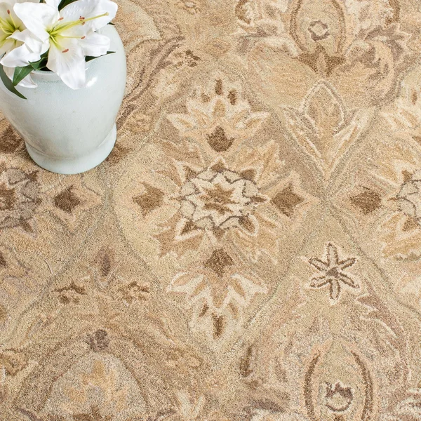 Safavieh Anatolia AN587A 3& x 5& Beige Rug