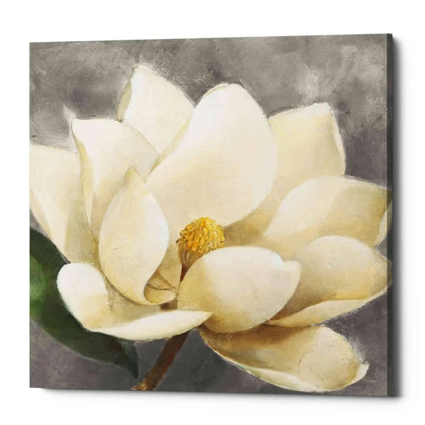 Epic Graffiti &Magnolia Blossom on Gray& by Albena Hristova, Canvas Wall Art, 18x22x18x22