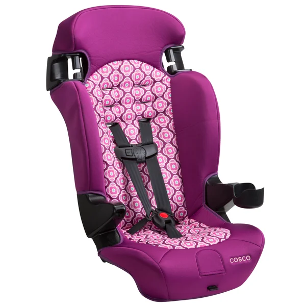 Cosco Finale 2-in-1 Booster Car Seat - Rosette