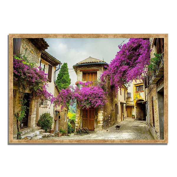 Tangletown Fine Art 40x22 x 59x22 Bougainvillea Lane Framed Photograph Print