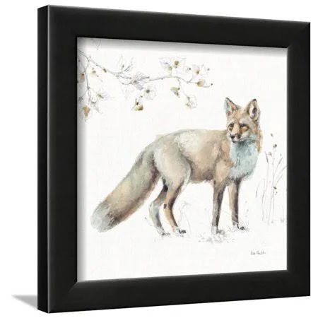 A Woodland Walk XI Framed Print Wall Art by Lisa Audit - Size: 12 x 12, Black