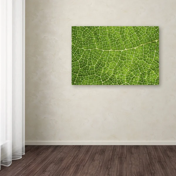 Trademark Fine Art 'Green Leaf Texture' Canvas Art by Cora Niele, Size: 22 x 32