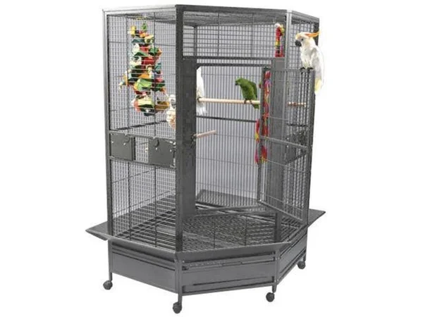 Au0026E Cage Cc4242 Black Extra-Large Corner Cage - 61" x 43