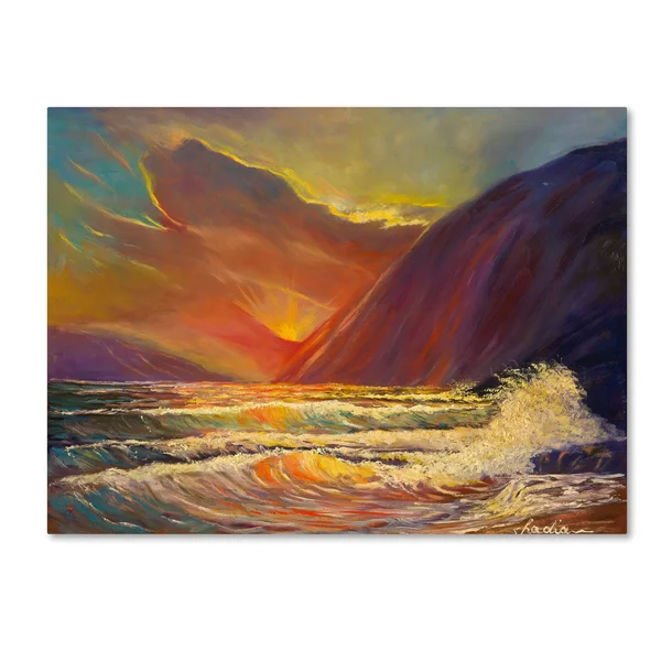 Trademark Fine Art Hawaiian Coastal Sunset Canvas Art by Manor Shadian, Size: 24 x 32