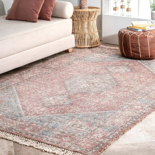 nuLOOM Cathleen Vintage Oriental Area Rug, Size: 5& x 8&