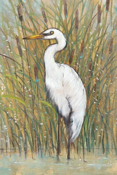 White Egret I Canvas Artwork Print by Tim OToole