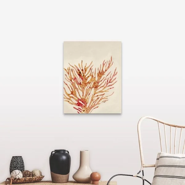 Coral III Canvas Wall Art - 24 x 30