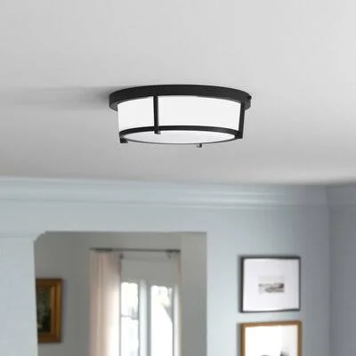 LED Simple Flush Mount Light in Black with White Shade by Ehlert Andover Mills
