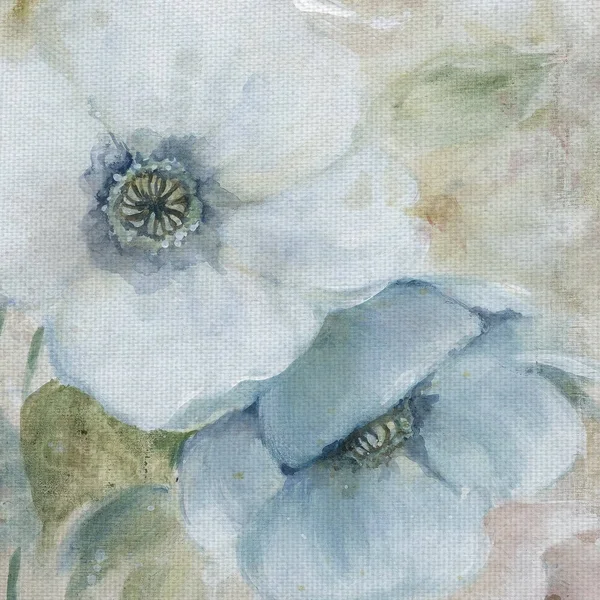 Masterpiece Art Gallery Pastel Garden I White Flowers by Carol Robinson Canvas Art Print 24 inch x 24 inch