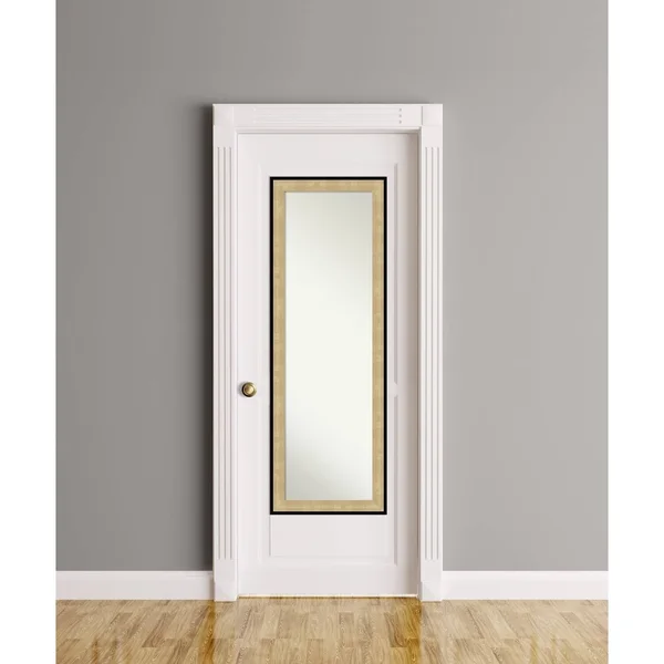 Amanti Art Swan Champagne Black Full Length Over-The-Door Mirror - Gold