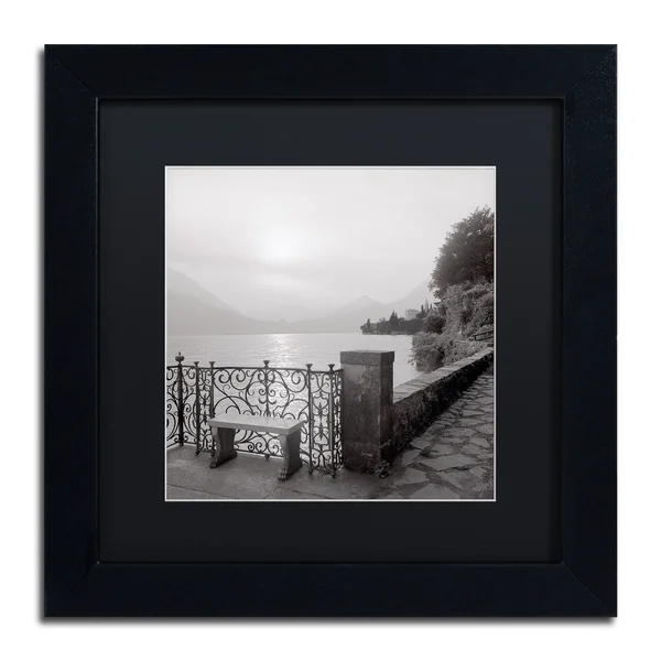 Trademark Art Alan Blaustein 'Lake Vista I' Framed Art