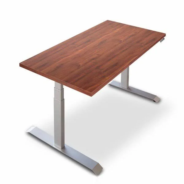 Workrite Fundamentals EX Electric Rectangular Standing Desk