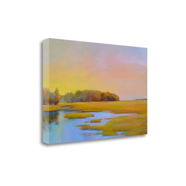 24x22 x 36x22 Summer Marsh 2 by Holly Ready Fine Art Giclee Print