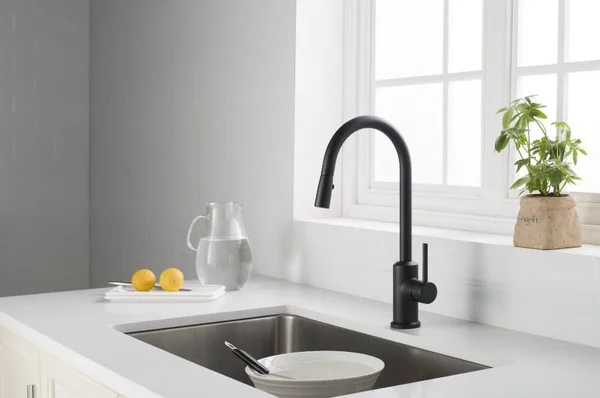 Stufurhome Brighton Kitchen Faucet w/ Spray Head Gooseneck Matte Black Single Lever Mixer ST1300MB