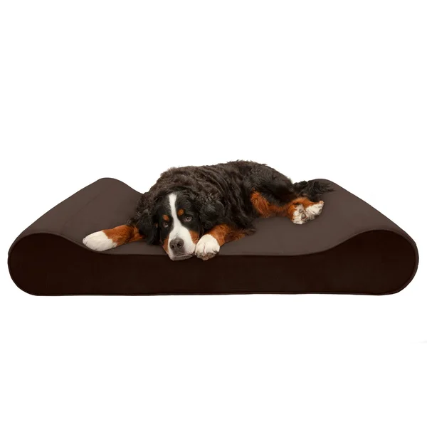 FurHaven Pet Bed - Cooling Gel Microvelvet Luxe Lounger Dog Bed - Giant - Espresso