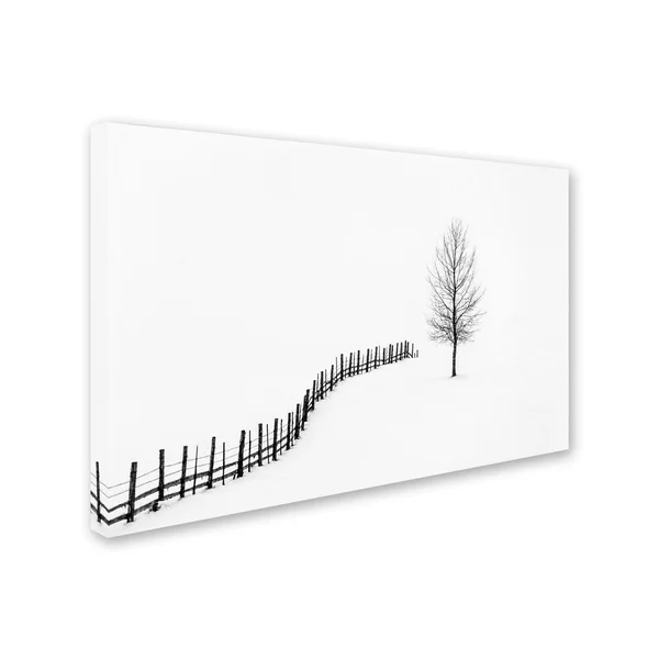 Trademark Fine Art 's I L E N C E' Canvas Art by Sveduneac Dorin Lucian, Size: 12 x 19