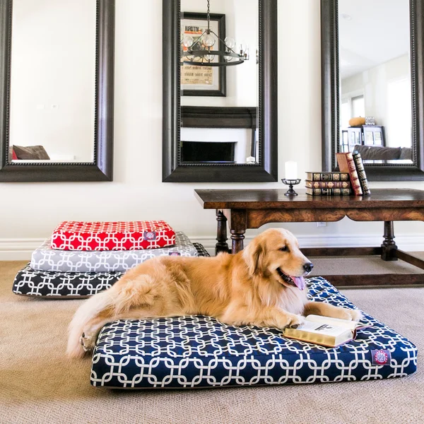 Majestic Pet 78899551236 Teal Links Small Orthopedic Memory Foam Rectangle Dog Bed