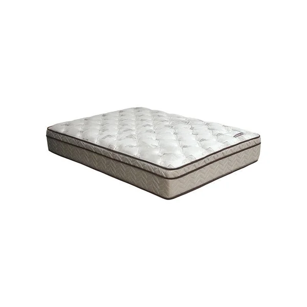 Furniture of America Sandroman 13x22 Full Euro Top Coil Mattress