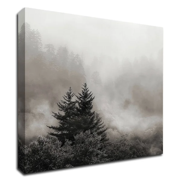 Tangletown Fine Art Rising Mist - Smoky Mountains by Nicholas Bell, Print on Canvas, Ready to Hang