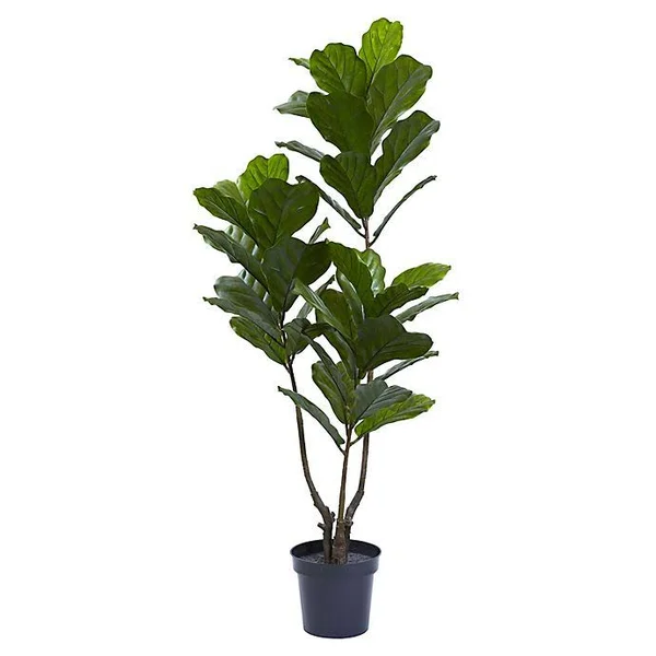 Nearly Natural 65x22 Artificial Indoor/Outdoor Fiddle Leaf Tree