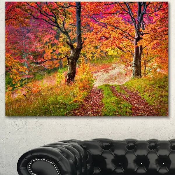 Design Art &Bright Colorful Fall Trees in Forest& Photographic Print on Wrapped Canvas, Size: 30 inch x 40 inch, Orange
