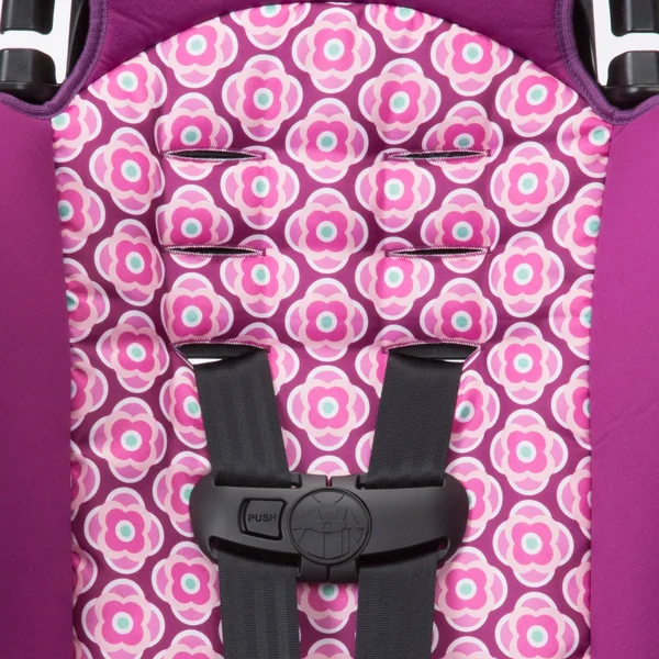 Cosco Finale 2-in-1 Booster Car Seat - Rosette