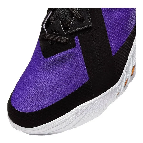Nike LeBron Low Lakers Pe Basketball Shoes