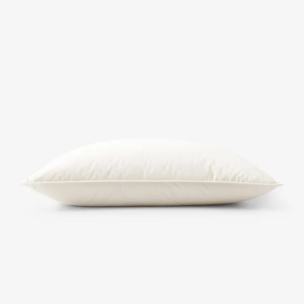 The Company Store Organic Natural Firm Down Queen Pillow