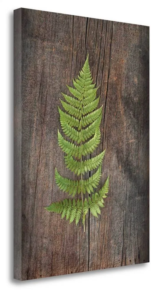 26x22 x 19x22 Woodland Fern I by Sue Schlabach Fine Art Giclee Print