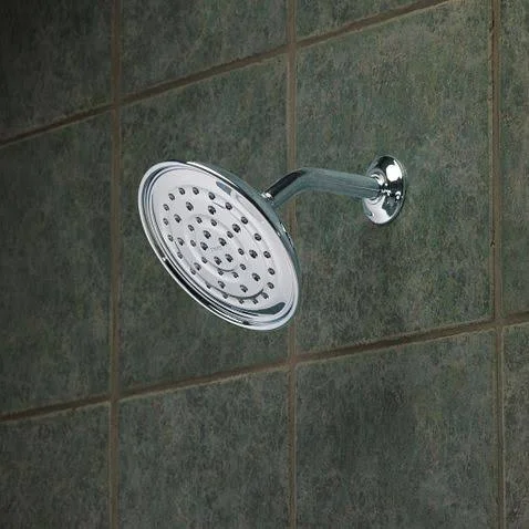 Moen 21007 Chrome Vitalize Rainshower Shower Head Only - Silver