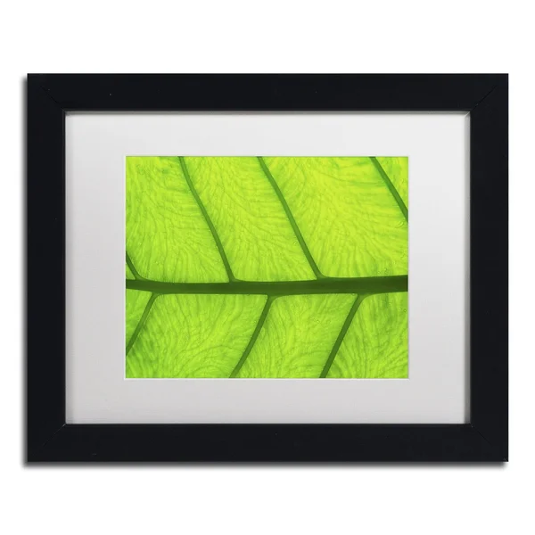 Trademark Fine Art Leaf Texture III by Cora Niele Framed Photographic Print - Size: 11x22 H x 14x22 W x 0.5x22 D - Frame Color: B