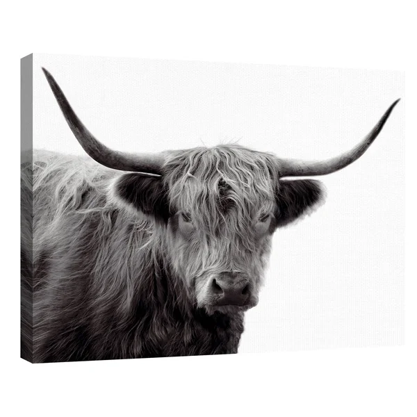 Highland Haze by Bill Phillip Highland Bull Canvas Art, Size: 22 inch x 28 inch