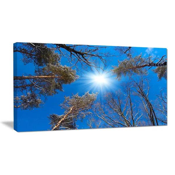 Design Art Bright Sun in The Tree Top Circle - Modern Forest Canvas Wall Art - Blue, 40 in. Wide x 30 in. High