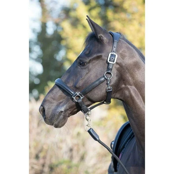 LeMieux Anatomic Leather Headcollar - Black
