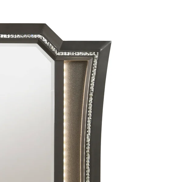 Contemporary Style Wooden Decorative Mirror with LED Lights, Gray