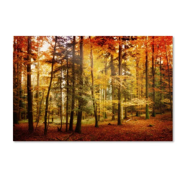 Trademark Fine Art Philippe Sainte-Laudy &Brilliant Fall Color& Canvas Art