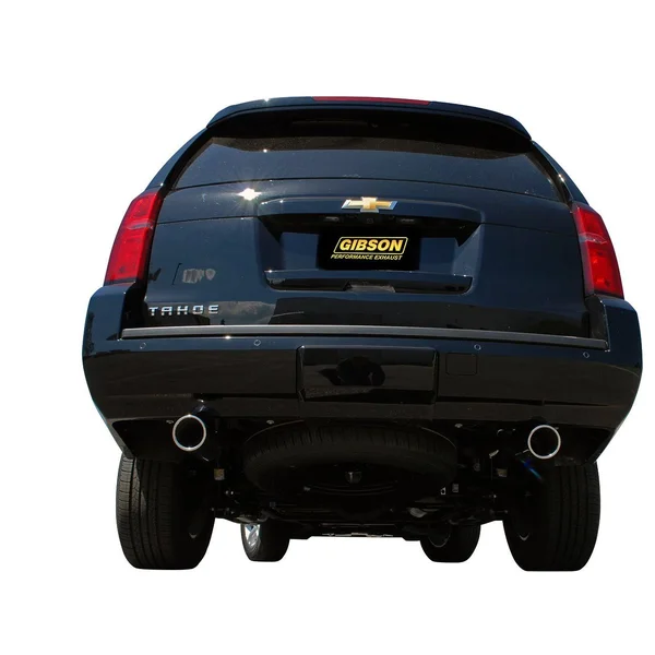 Gibson Performance 65669 Cat-Back Dual Split Exhaust System Stainless