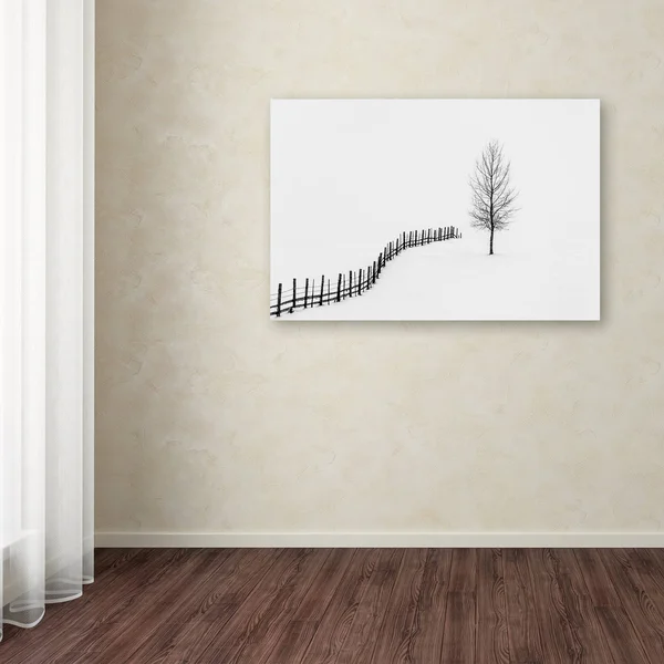 Trademark Fine Art 's I L E N C E' Canvas Art by Sveduneac Dorin Lucian, Size: 12 x 19