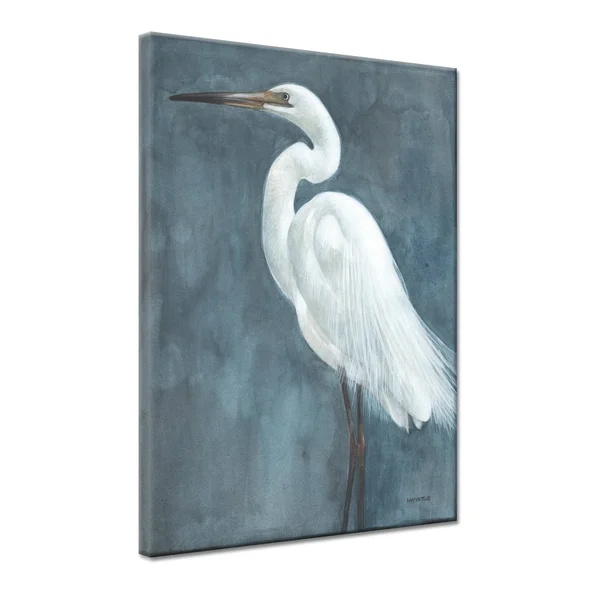 Snowy Egret Grey/ White Bird Gallery Wrapped Canvas Art by Norman Wyatt Home - 20 x 30