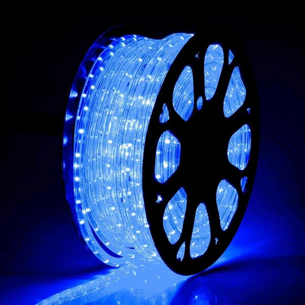 Delight 150 ft. 2 Wire LED Rope Light Holiday Valentine Party Decorative Lighting Blue