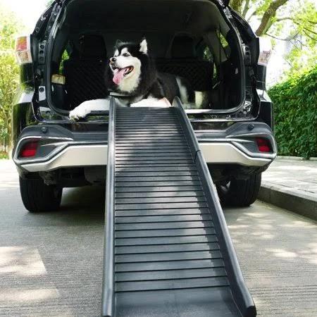coziwow Cowziwow Folding Dog Ramp - Black, 60 inchl