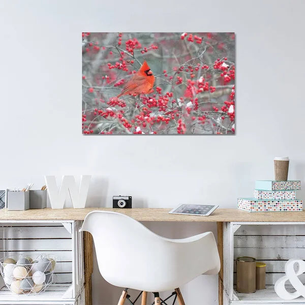 Richard & Susan Day Canvas Wall Decor Prints - Northern Cardinal Male in Winterberry BUSH - Marion County, Illinois ( Animal