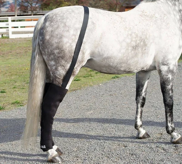 Ice Horse Full Hind Leg Wrap