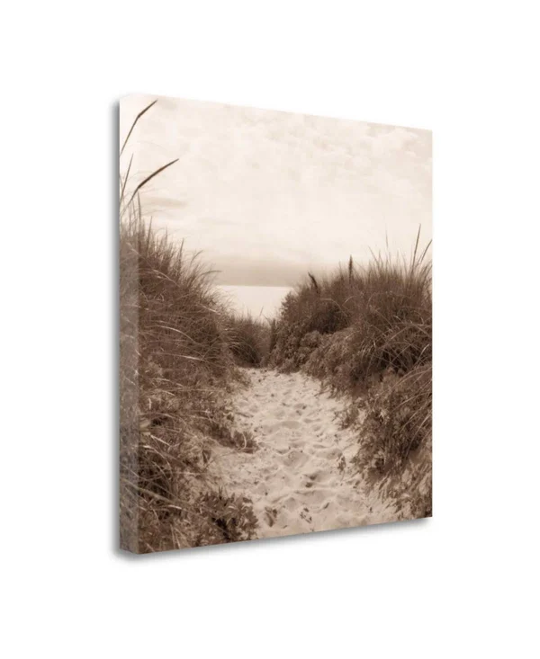 20x22 x 20x22 Dune Path by Christine Triebert Fine Art Giclee Print