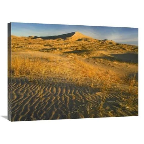 24 x 32 in. Kelso Dunes & Grasses Mojave National Preserve California Art Print - Tim Fitzharris MI1298779