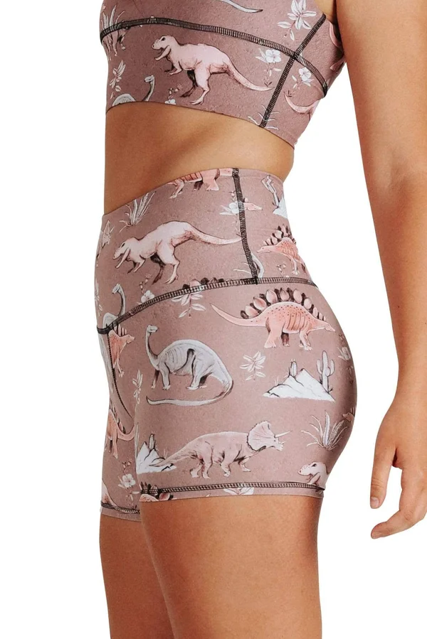 Stokasaurus 3x22 Eco-Friendly Women's High Waisted Yoga Shorts - Yoga Democracy Stokasaurus, XL - Eco Friendly Activewear by Yo