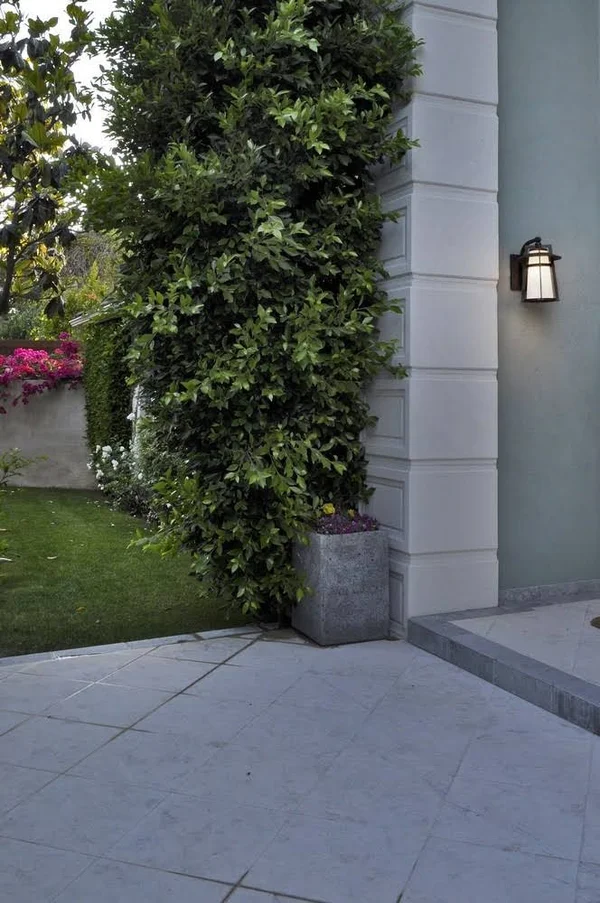 Maxim Lighting 88534SWAE Calistoga LED Outdoor Wall Light - Adobe